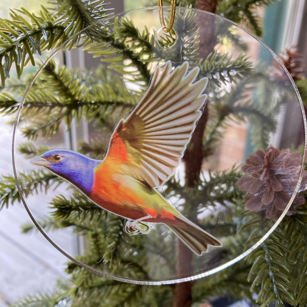 Painted bunting Christmas ornament Double Sided